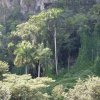 Vinales Höhlenkomplex Santo Tomás